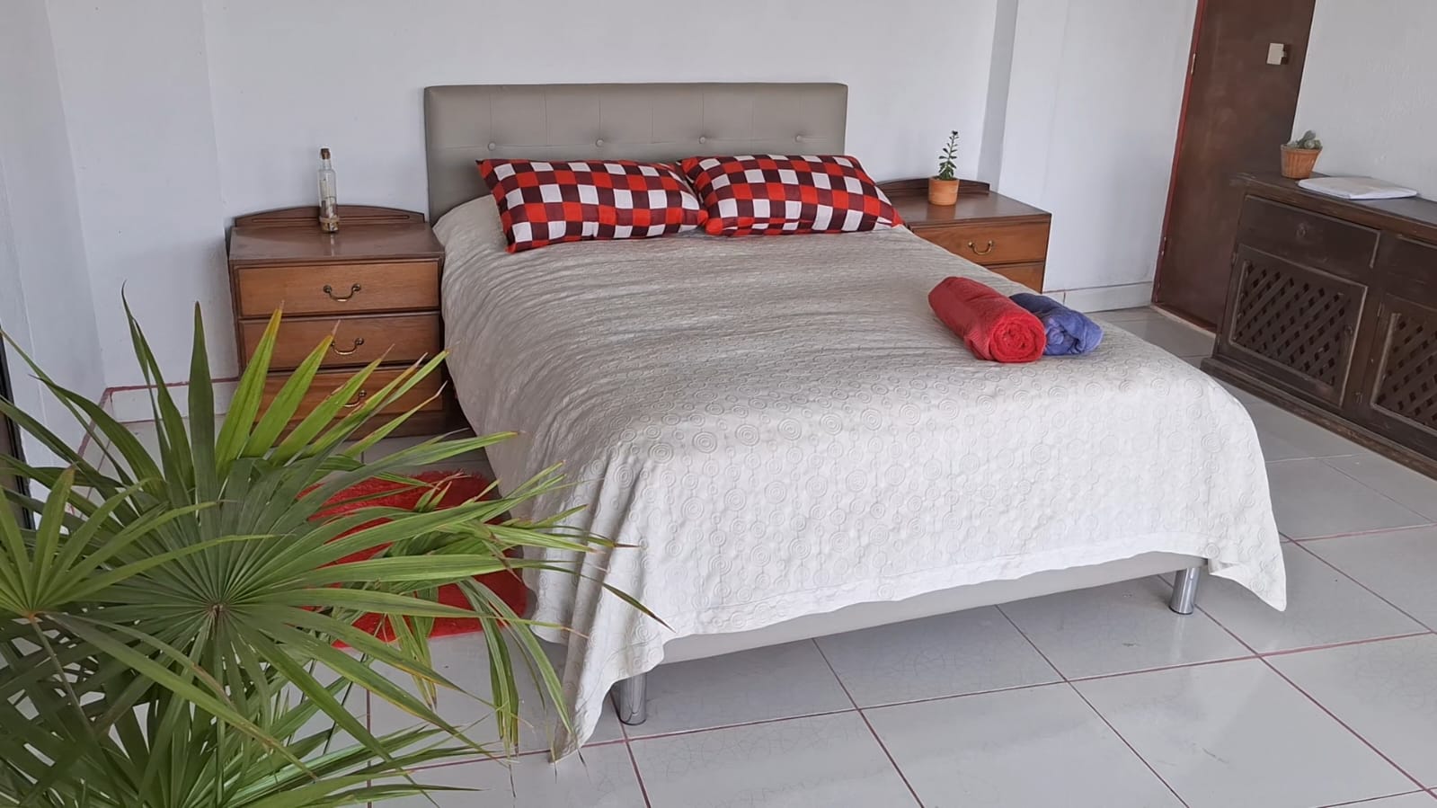 HABITACION CON PALMA